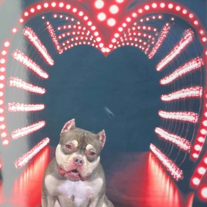 Brooklyn Renker-McCammon